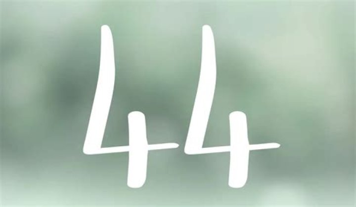 44