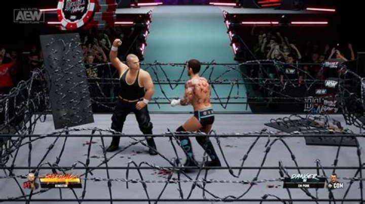 AEW Fight Forever Publisher Warns Of Misinformation