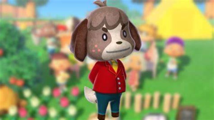Animal Crossing: New Horizons Isabelle's Brother | Can Digby join my island?