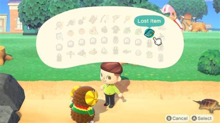 Animal Crossing: New Horizons lost item