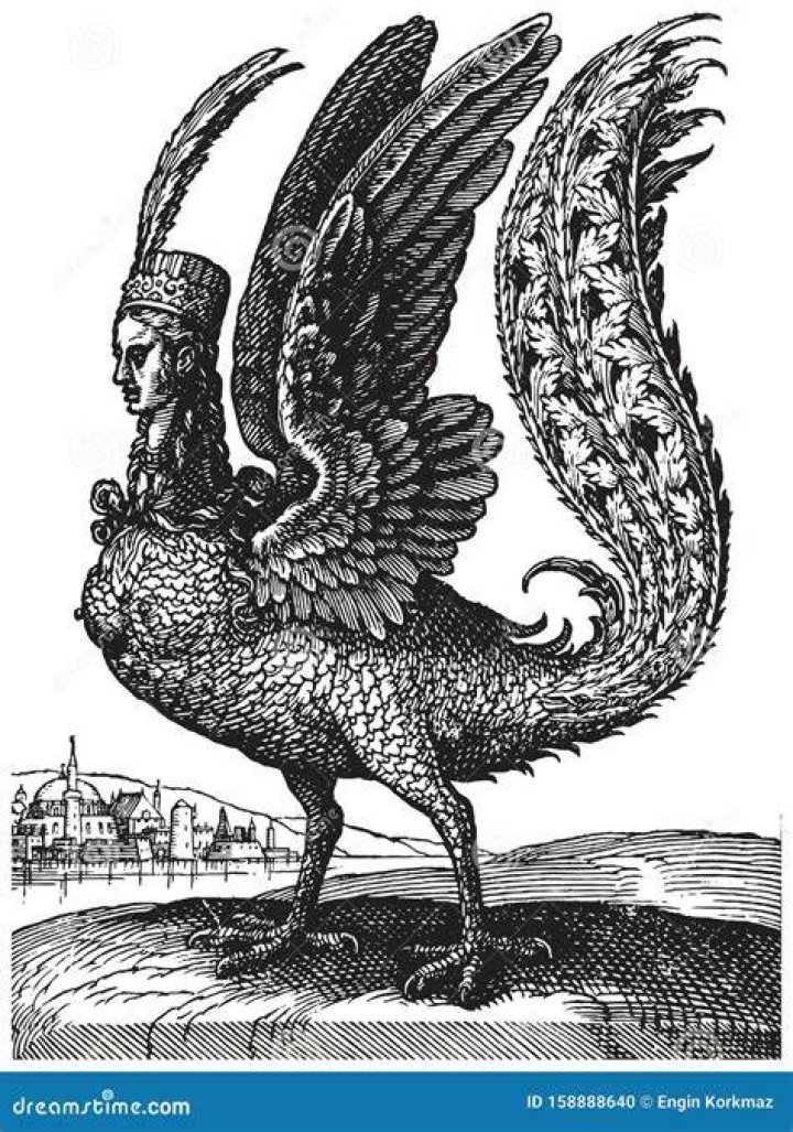 Antique Harpy. Woman Bird Eagle. Mythical Greek monster. Mythological animal. Fantastic creatures in the old vintage style. Engraved hand drawn old sketch.
