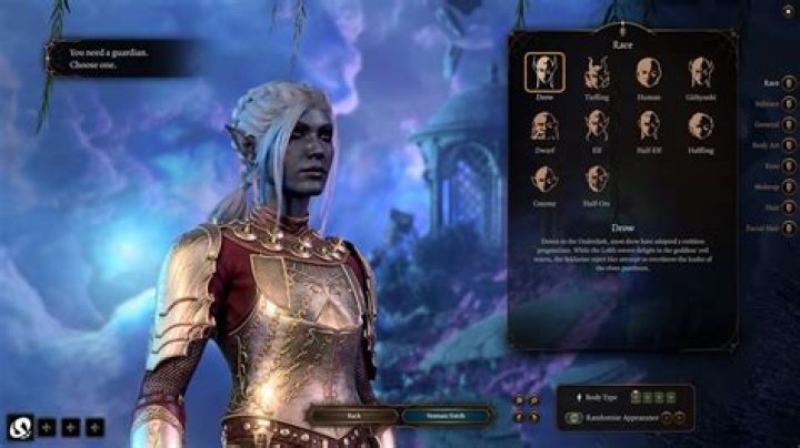 Baldur's Gate 3 Guardian Choice: Who is This Character During Customization?