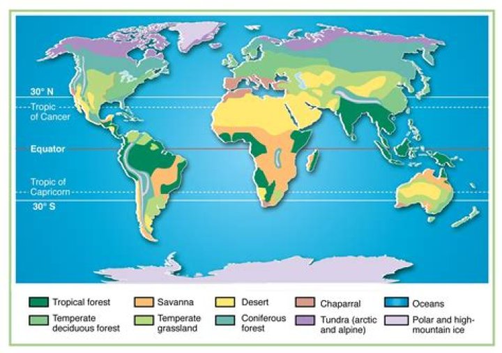 Biomes