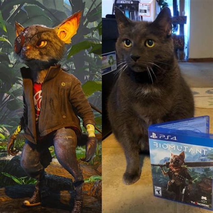 biomutant goty