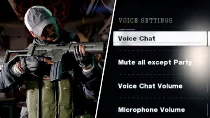 Black Ops Cold War 'Mute all but party' not working fix