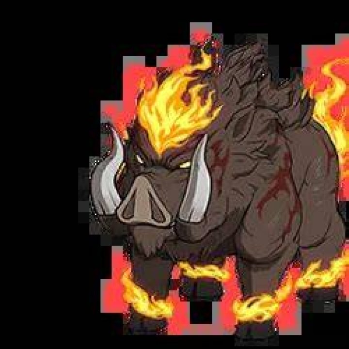 Boar-1