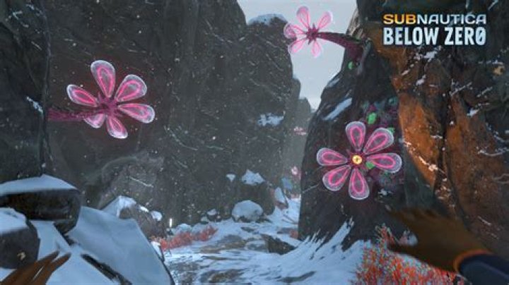 
Brave the Cold When Subnautica: Below Zero Launches This May