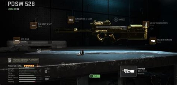 Call of Duty: Warzone 2- Best PDSW 528 Class