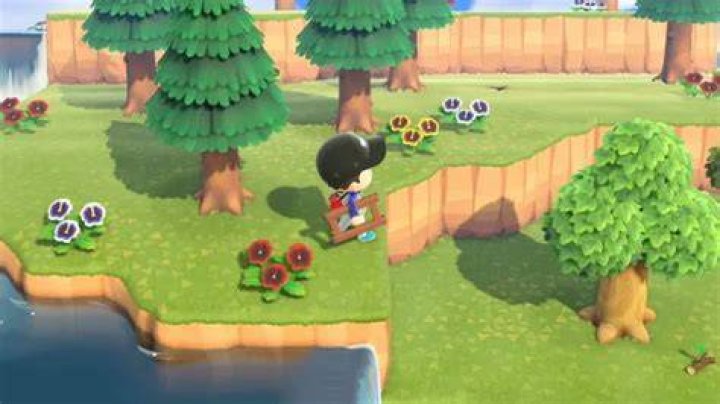 Can Vaulting Pole and Ladder break in Animal Crossing: New Horizons?