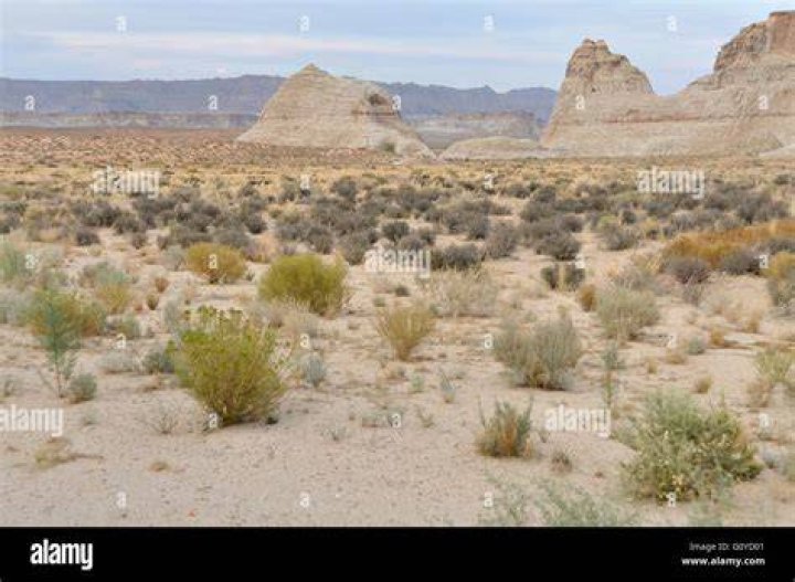 Desert
