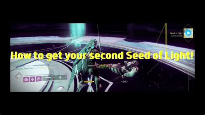 Destiny 2 Seed of Light: How to Get a Seed of Light in Destiny 2 Forsaken