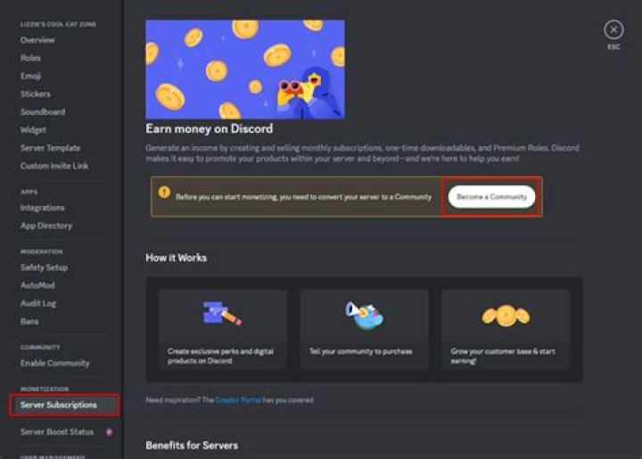 Discord Server Subscriptions Launch in the US, Allows Creators to Directly Monetize Content