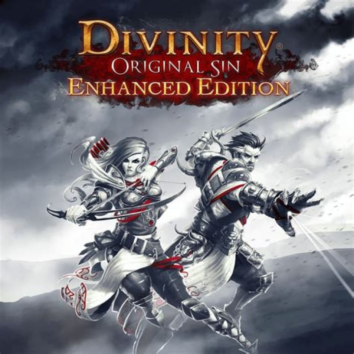
Divinity: Original Sin Enhanced Edition Review
