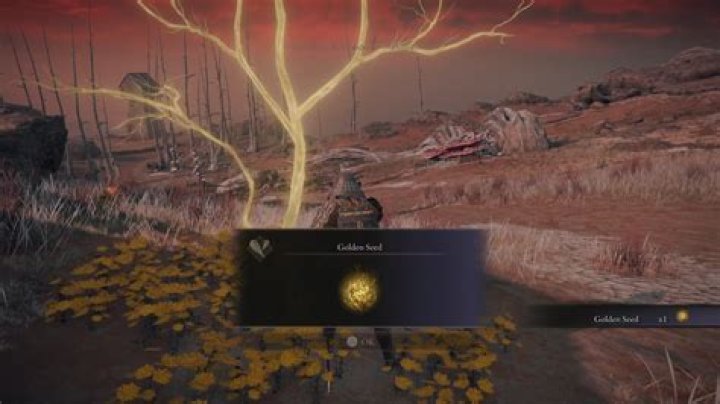 Elden Ring Golden Seed