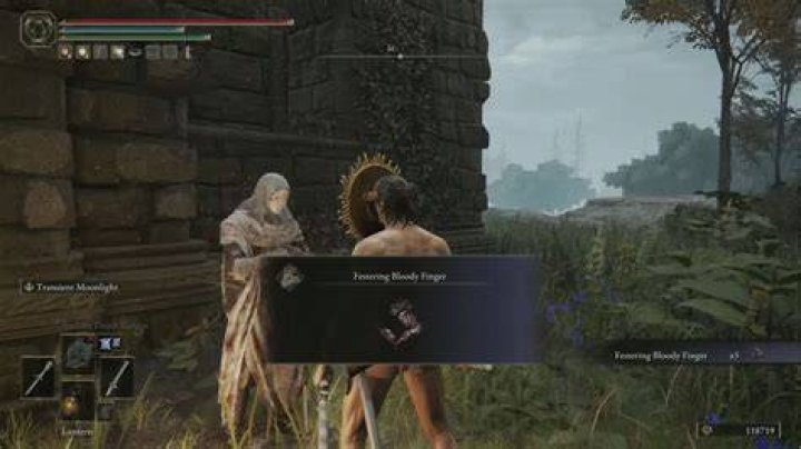
Elden Ring: What Does the Festering Bloody Finger Do?