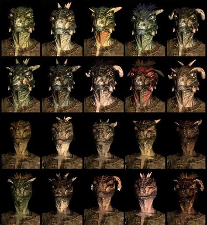 
Elder Scrolls V: Skyrim Race Presets