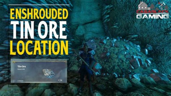 Enshrouded Tin Ore Location: Where to Get Tin Ore