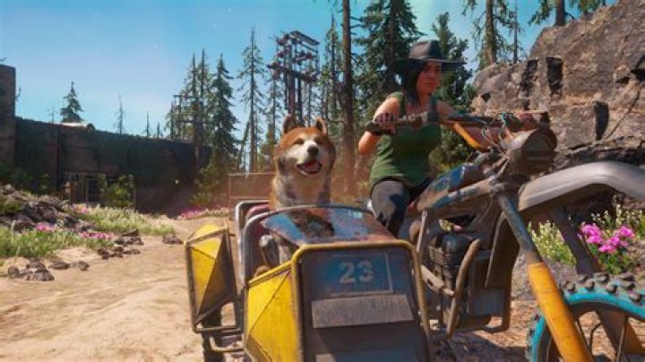 Far Cry New Dawn Dog Partner Location timber