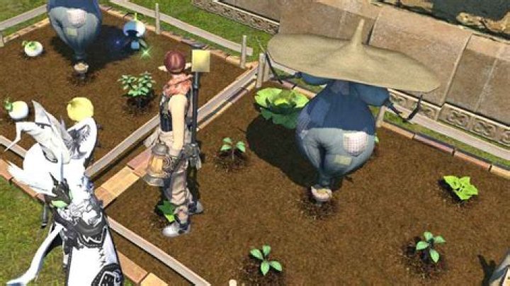 
Final Fantasy XIV – How to Get Gysahl Greens