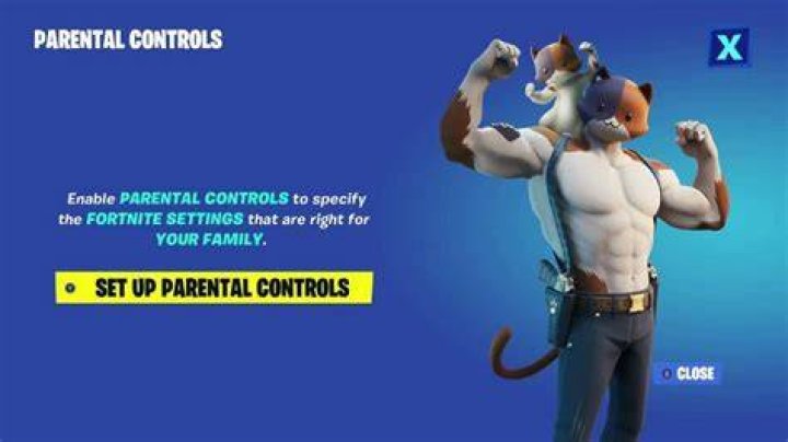 Fortnite, Fall Guys, and Rocket League 'Cabined Accounts' Improve Child Safety