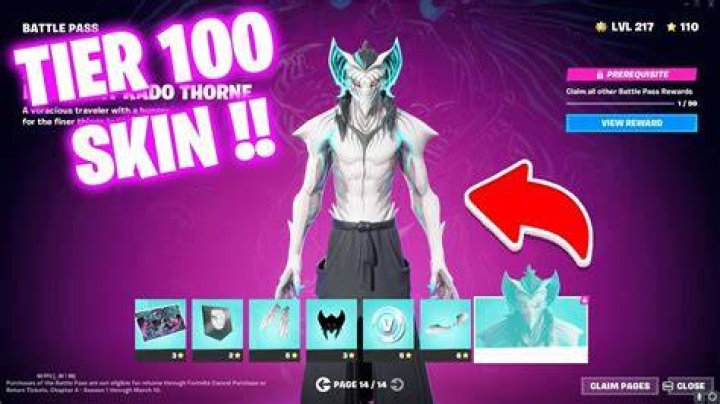 Fortnite Tier 100 skin Chapter 2