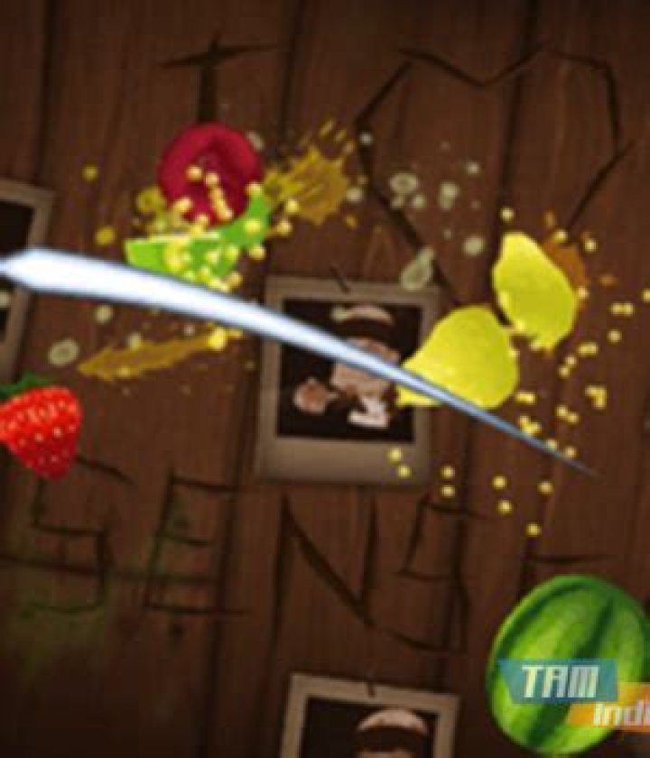 fruit ninja lite