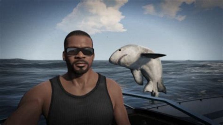 GTAVSelfie