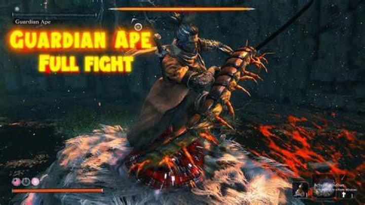 guardian-ape