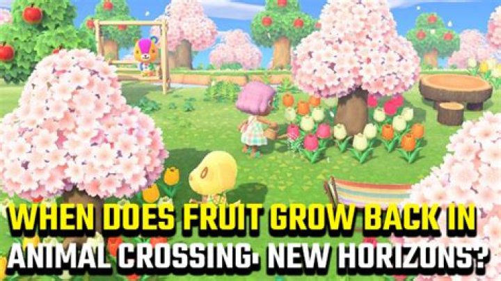 How often does fruit grow back in Animal Crossing: New Horizons?