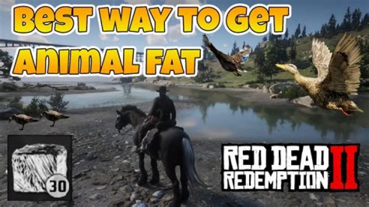 How to Get Animal Fat in Red Dead Redemption 2