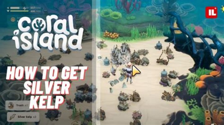 How to Get Silver Kelp in Coral Island