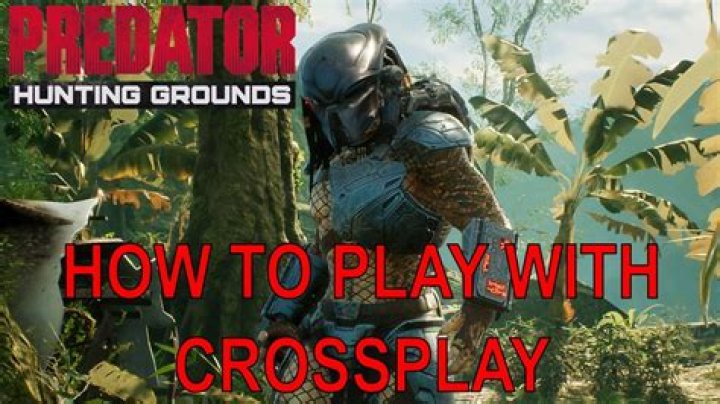 Is Predator: Hunting Grounds crossplay?