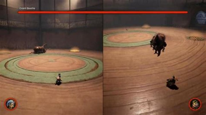 
It Takes Two: How to Beat Giant Beetle Boss