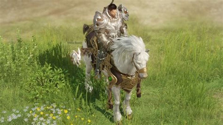 
Lost Ark Celebration Gift: How to Get the Terpeion Mount and Which to Choose
