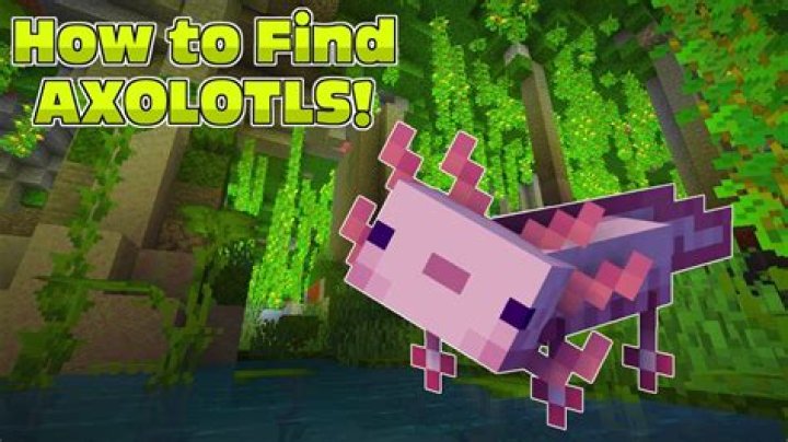 
Minecraft: Where to Find Axolotls