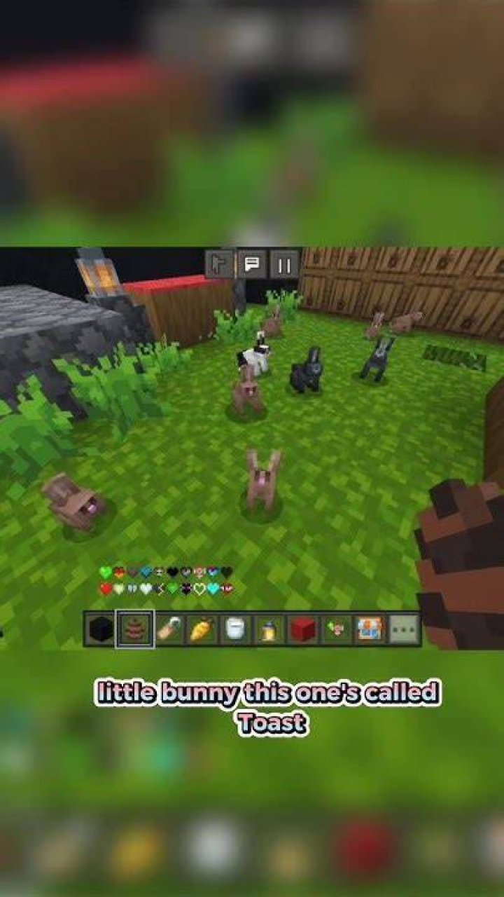 minecraft-bunnies
