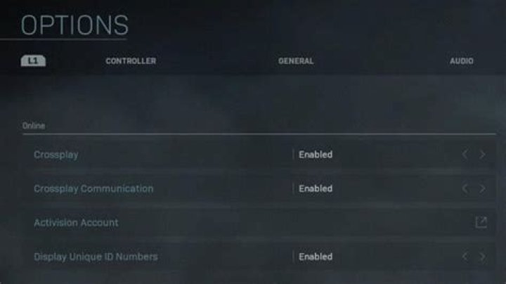 modern warfare mute bug why is everyone muted toggle unmute