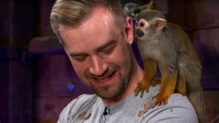 Monkey vomits on Rare dev during Sea of Thieves pet preview livestream