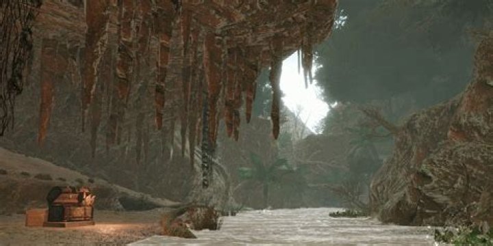 Monster Hunter Rise Flooded Forest Light Crystal Farming Route