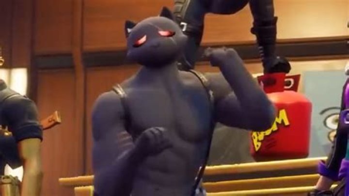 New Fortnite Cat Skin | How to unlock Agent Meowscles