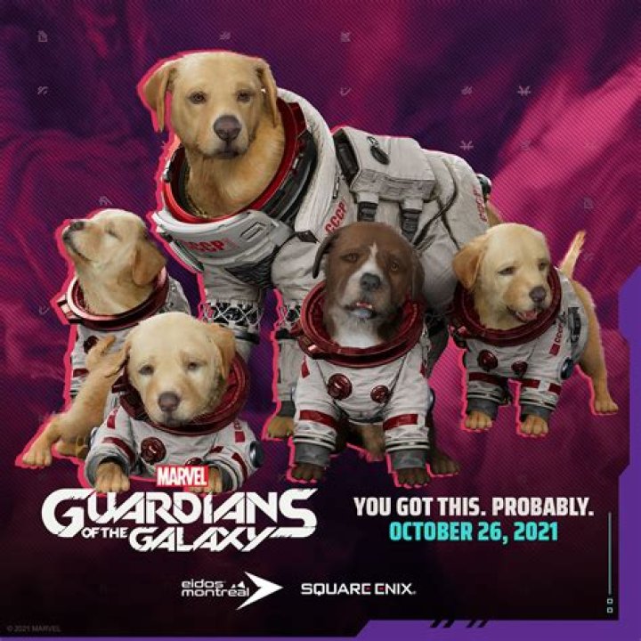 
New Guardians of the Galaxy Trailer Showcases Cosmo the Space Dog