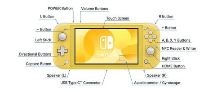 Nintendo Switch Lite How to tell if a game is compatible