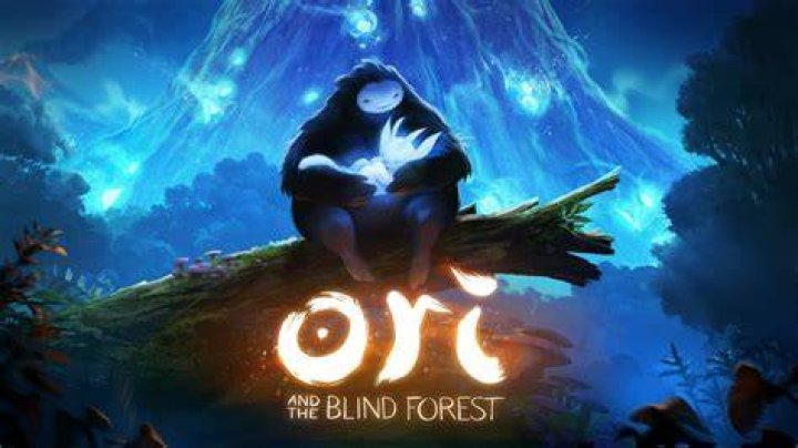 
Ori and the Blind Forest Already Profitable, Dev Working on New Projects