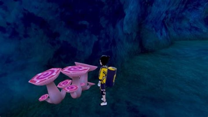 Pokemon Sword and Shield: Isle of Armor - Where Are The Three Max Mushrooms?