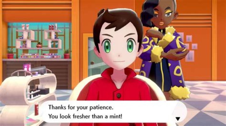 Pokemon Sword and shield salon options
