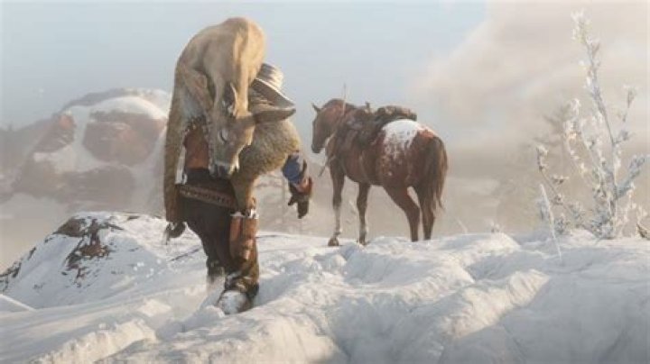 Red Dead Online Sell to Butcher Error - Is There a Fix?