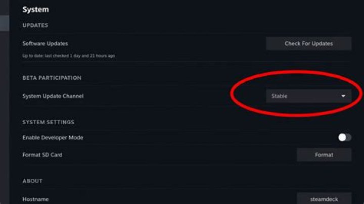 Return Steam Deck to Stable Branch