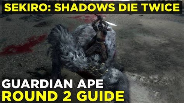 
Sekiro: Shadows Die Twice How to Beat Guardian Ape