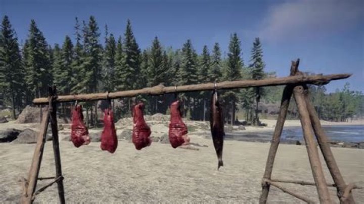 Sons of the Forest Drying Rack: How to Prevent Meat From Rotting