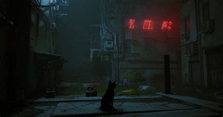 Stray Is Being Adapted Into an Animated Film